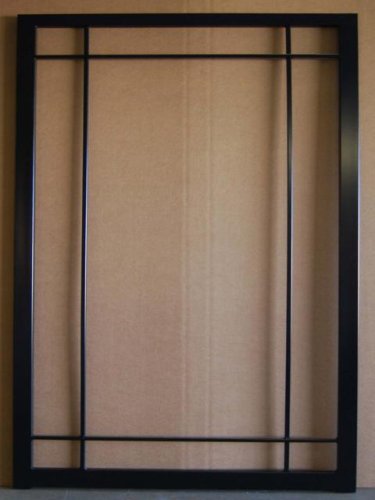 (image for) 201 DLS Security Door