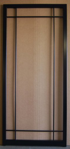 (image for) 201 Steel Security Storm Door