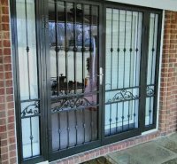 (image for) 220 Double Security Storm Door