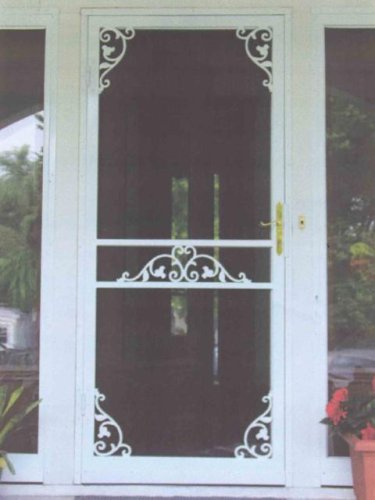 (image for) 222 Steel Security Storm Door