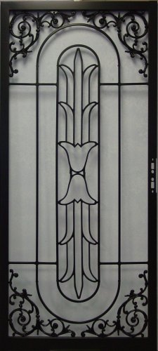 (image for) 225 Steel Security Storm Door