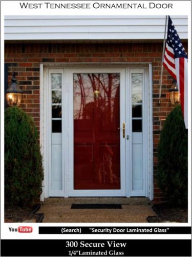 (image for) 300 Secure View Brochure