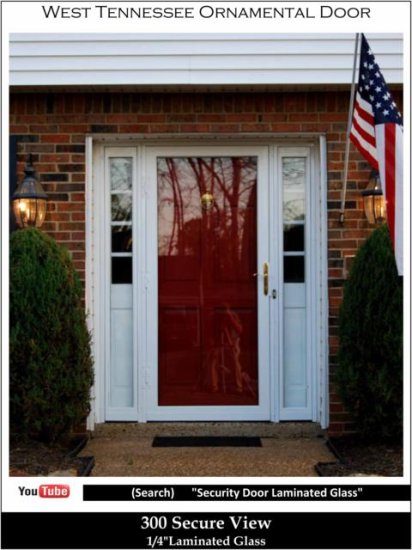 (image for) 300 Secure View Brochure